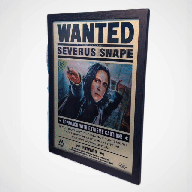 WIZARDING PRINTS